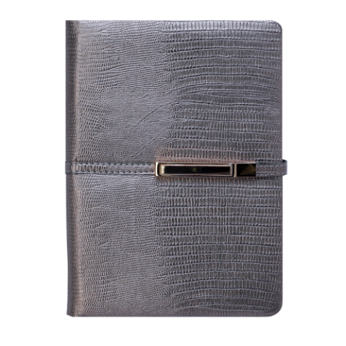 Ежедневник датированный 2019 REPTILE, A5, 336 стр., капучино