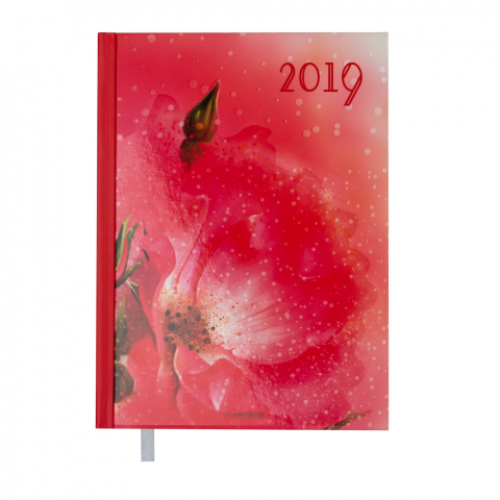 Ежедневник датированный 2019 SPOLETO, A5, 336 стр., коралловый