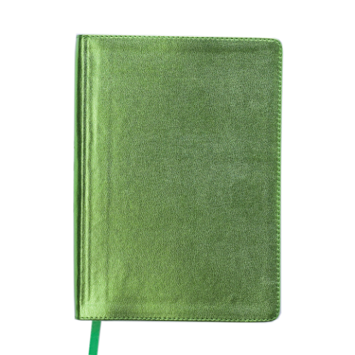 Ежедневник датированный 2019 METALLIC, A5, салатовый