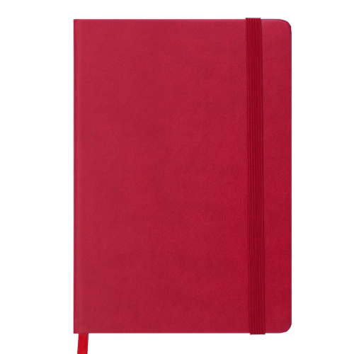 Ежедневник датированный 2019 CONTACT, A5, 336 стр., красный