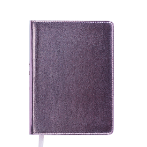 Ежедневник датированный 2019 METALLIC, A6, розовый