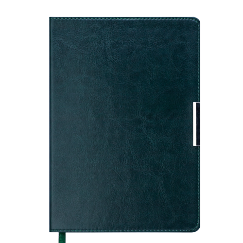 Ежедневник датированный 2019 SALERNO, A5, зеленый