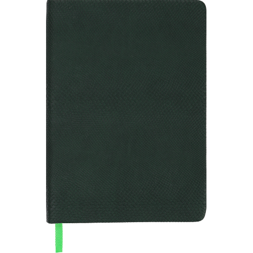 Ежедневник недатированный AMAZONIA, A5, зеленый