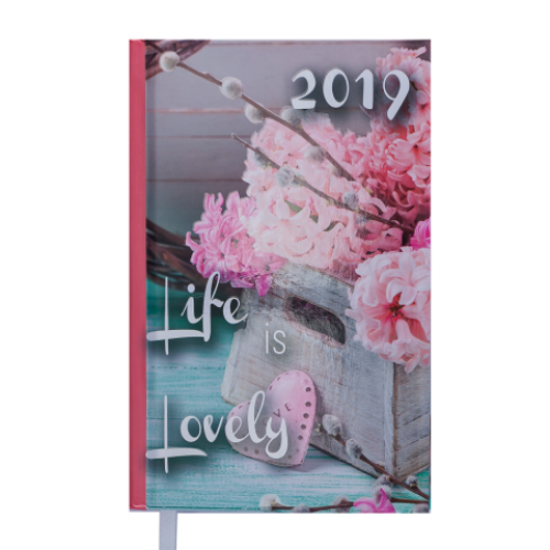 Ежедневник датированный 2019 ROMANTIC, A6, 336 стр., св.-розовый