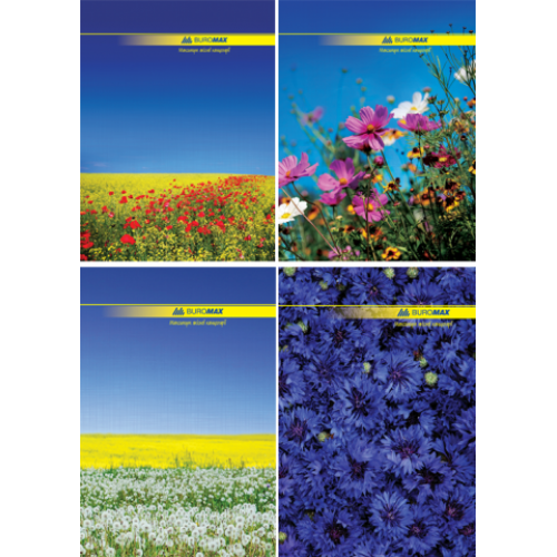 Книга канцелярская, А4, 96 листов, клетка