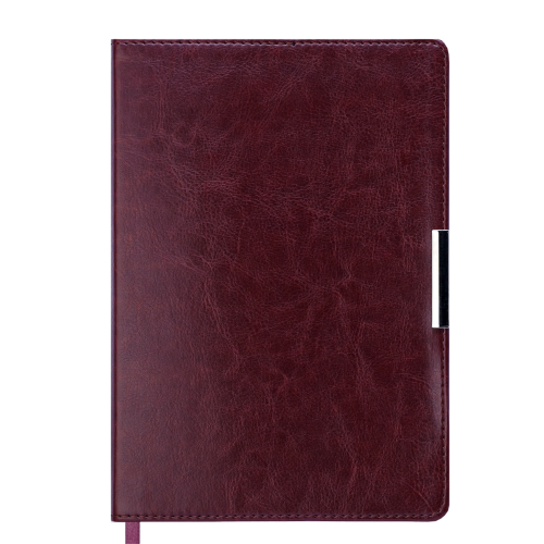 Ежедневник датированный 2019 SALERNO, A5, коричневый