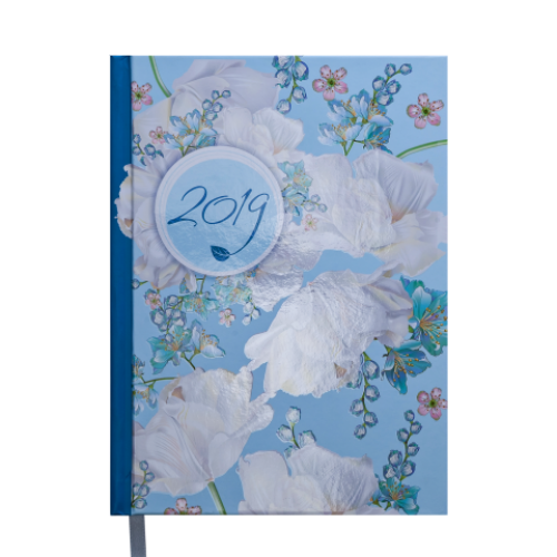 Ежедневник датированный 2019 ESTILO, A5, 336 стр., голубой