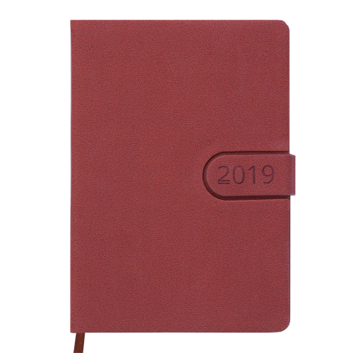 Ежедневник датированный 2019 SOLAR, A5, 336стр. коричневый