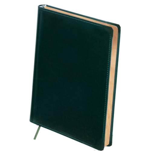 Ежедневник недатированный BOSS, A4, зеленый