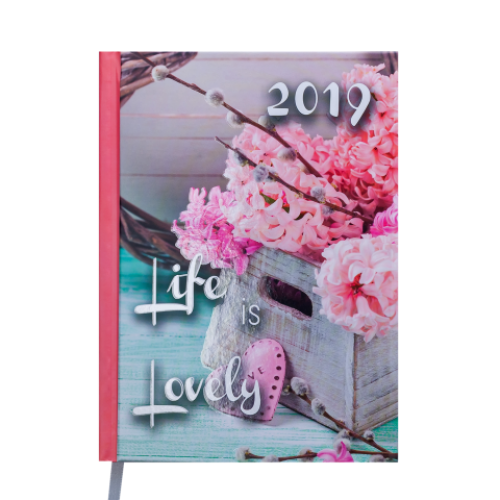 Ежедневник датированный 2019 ROMANTIC, A5, 336 стр., св.-розовый