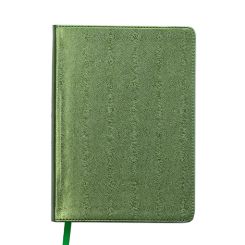 Ежедневник датированный 2019 METALLIC, A5, зеленый