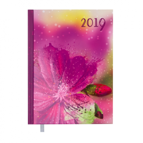 Ежедневник датированный 2019 SPOLETO, A5, 336 стр., малиновый