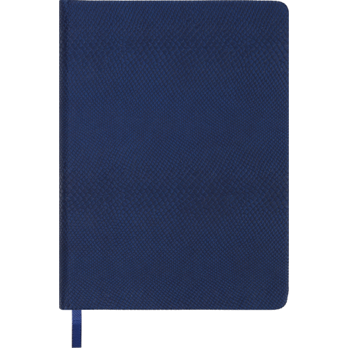 Ежедневник недатированный AMAZONIA, A5, синий