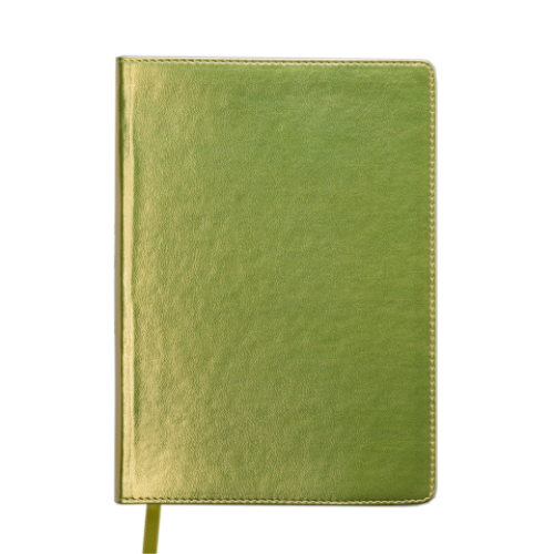 Ежедневник датированный 2019 METALLIC, A5, желтый