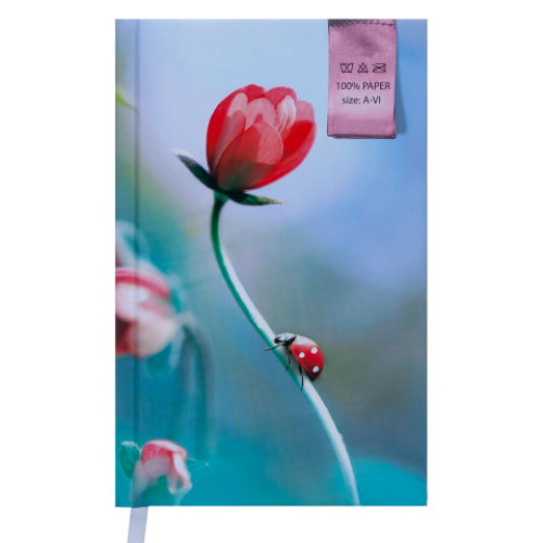 Ежедневник недатированный GRACE, A6, 288 стр., бирюзовый