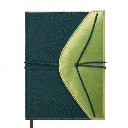 Ежедневник датированный 2019 BELLA, A5, 336 стр., зеленый с золотом