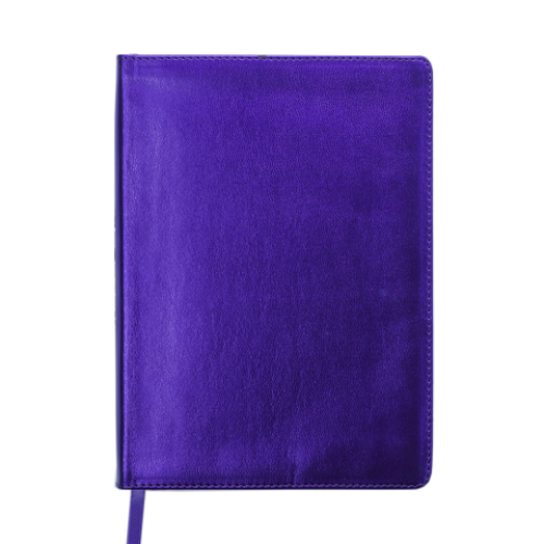 Ежедневник датированный 2019 METALLIC, A5, фиолетовый