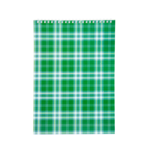 Блокнот на пружине сверху SHOTLANDKA, А4, 48 листов, клетка, зеленый