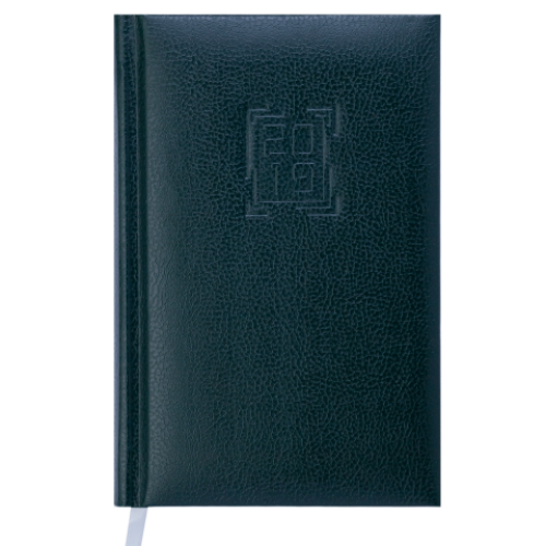 Ежедневник датированный 2019 REDMOND, A6, 336 стр., зеленый