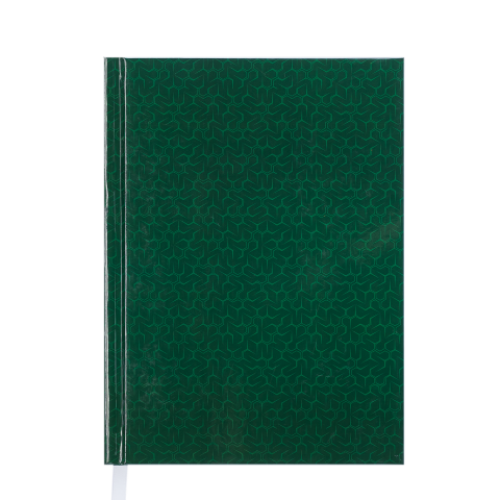 Ежедневник датированный 2019 VELVET, A5, зеленый