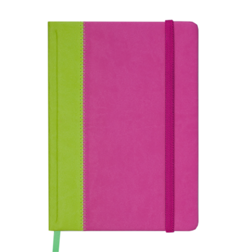 Ежедневник датированный 2019 SIENNA, A5, 336 стр., салатово-розовый