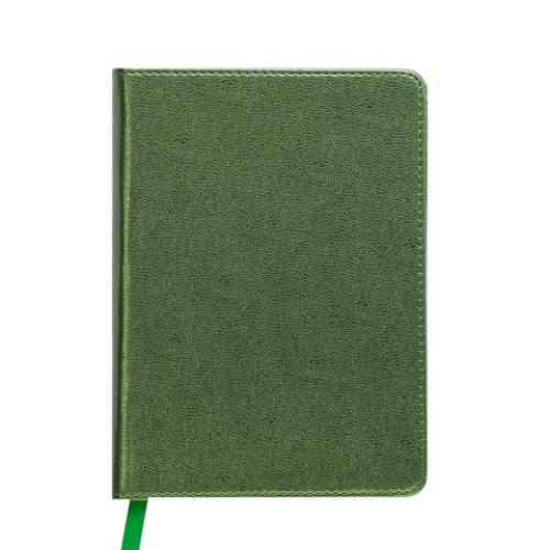 Ежедневник датированный 2019 METALLIC, A6, зеленый