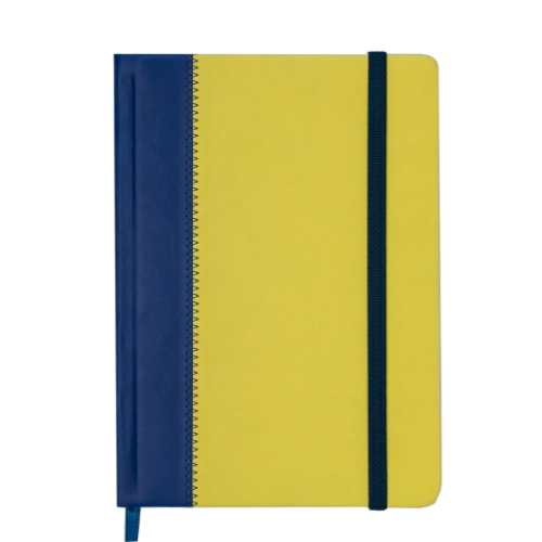 Ежедневник датированный 2019 SIENNA, A5, 336 стр., сине-желтый