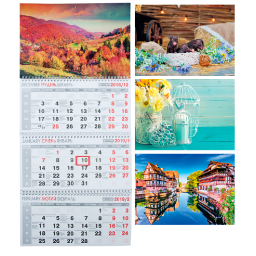 Календарь настенный квартальный на 2019 г. (3 пружины)
