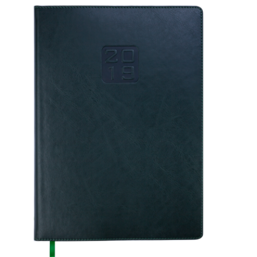 Ежедневник датированный 2019 BRAVO (Soft), A4, зеленый