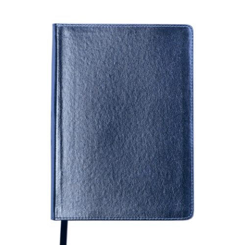 Ежедневник датированный 2019 METALLIC, A5, синий