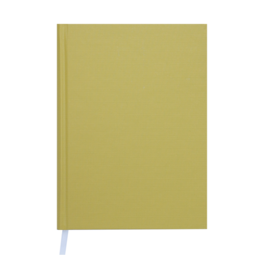 Ежедневник недатированный BRILLIANT, A5, 288 стр., оливковый