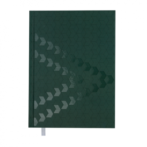 Ежедневник датированный 2019 MONOCHROME, A5, зеленый
