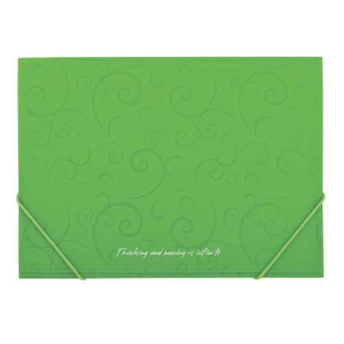 Папка пластиковая А4 на резинках, BAROCCO, салатовый