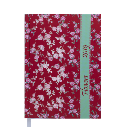Ежедневник датированный 2019 PROVENCE, A5, красный